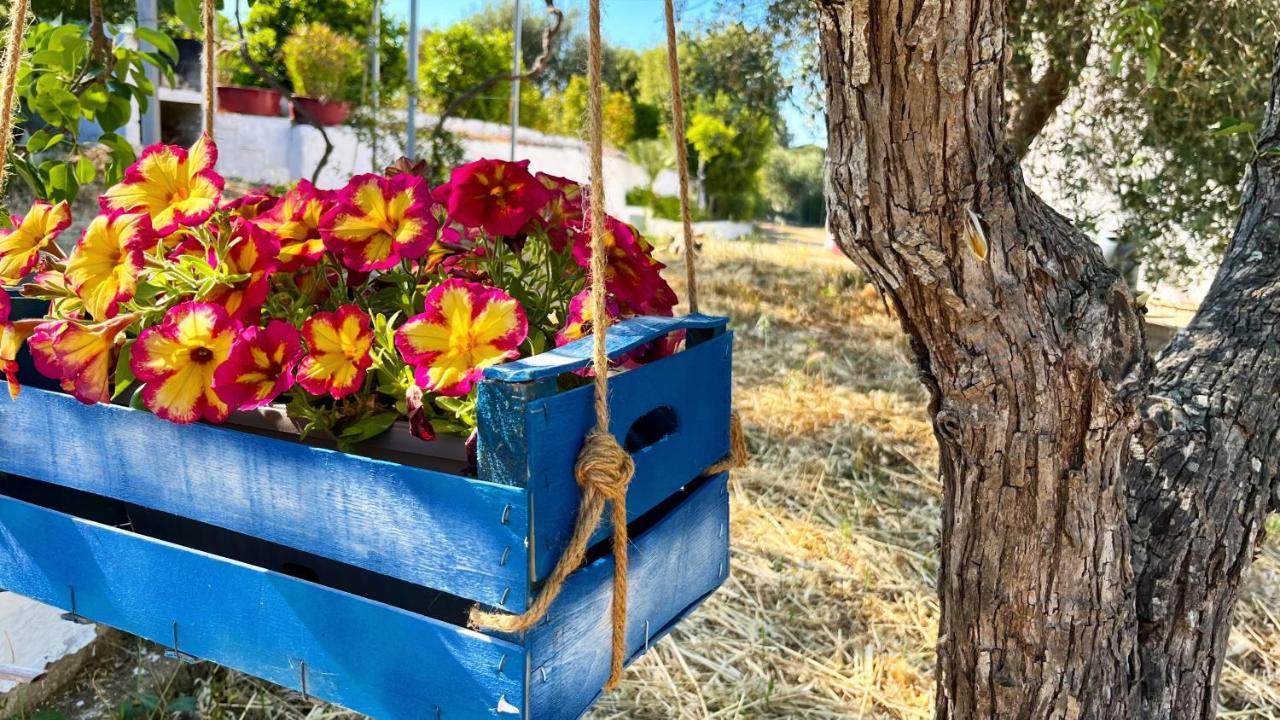 Holiday home Delle Ginestre Ostuni