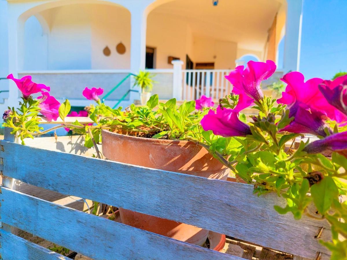 Delle Ginestre Holiday home *
